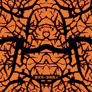 国产毛片网站视频
